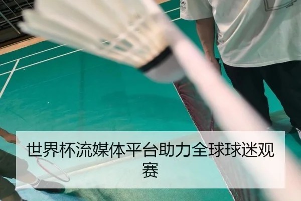 世界杯流媒体平台助力全球球迷观赛