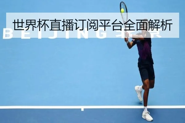 世界杯直播订阅平台全面解析