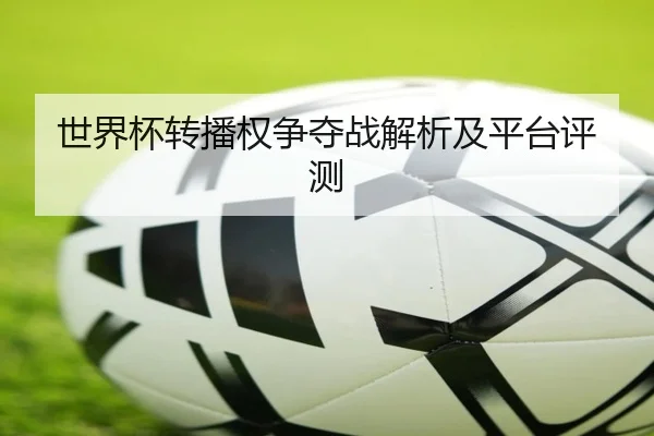 世界杯转播权争夺战解析及平台评测