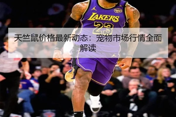 天竺鼠价格最新动态：宠物市场行情全面解读