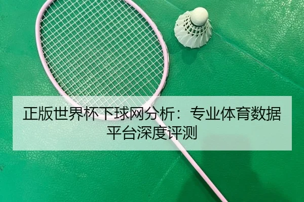正版世界杯下球网分析：专业体育数据平台深度评测