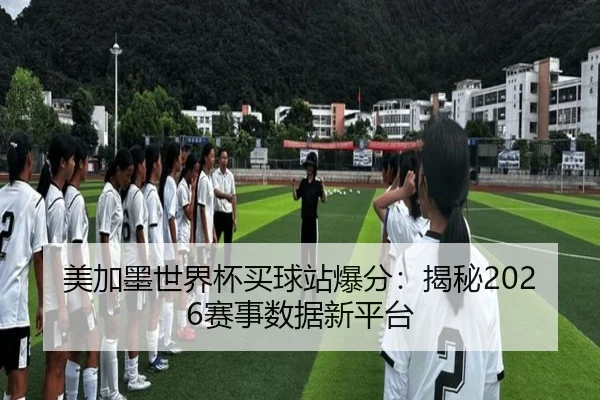 美加墨世界杯买球站爆分：揭秘2026赛事数据新平台